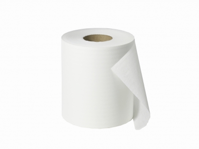 Handtuchinnenabzugsrolle Papier, 2-lagig, Ecoqualität