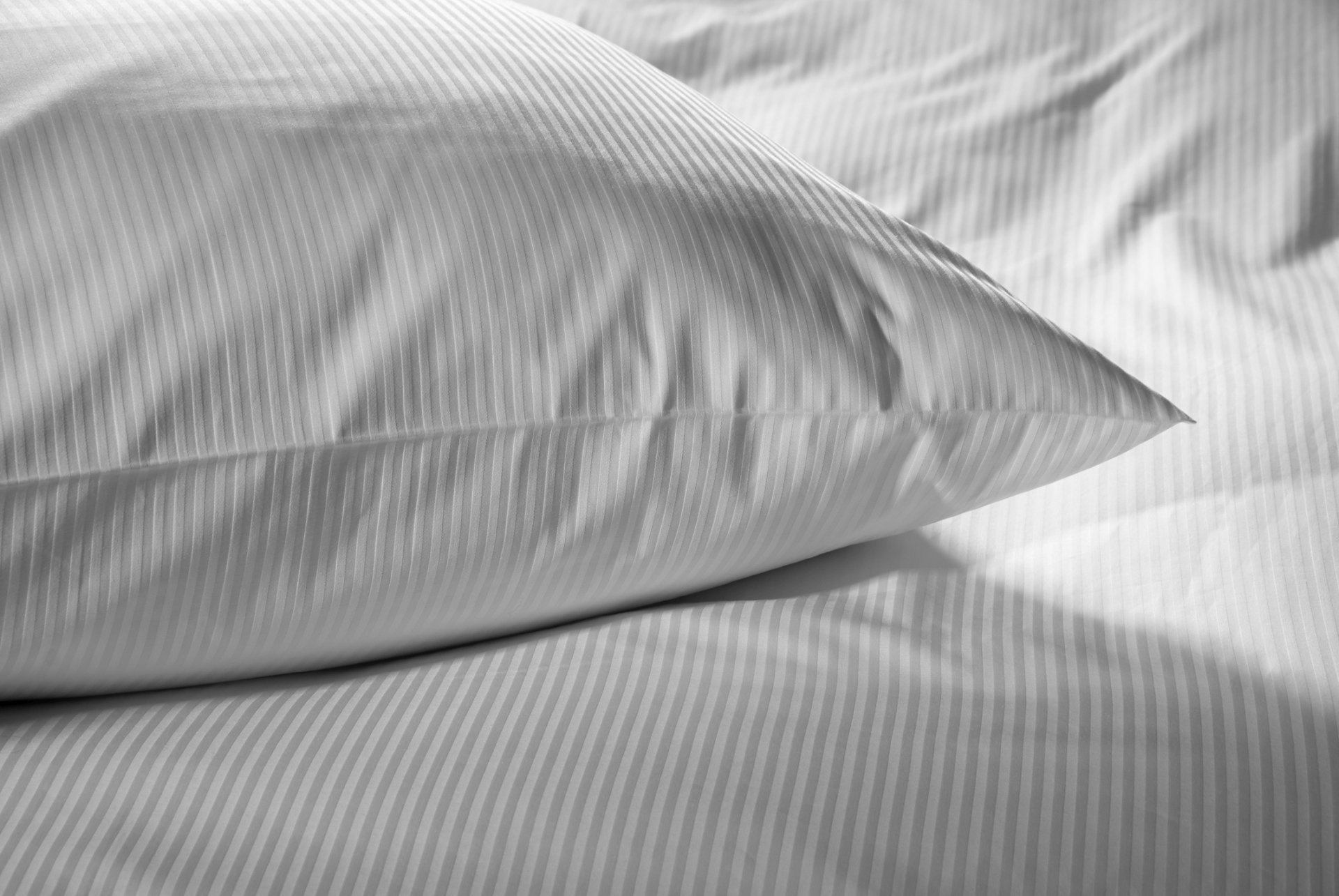 Cuscino Serie Alcatraz – Fodera In Argento 40x40 Cm Per Divano E Letto