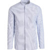 blue stripe
