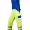 warngelb kornblau