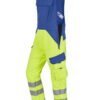 warngelb kornblau
